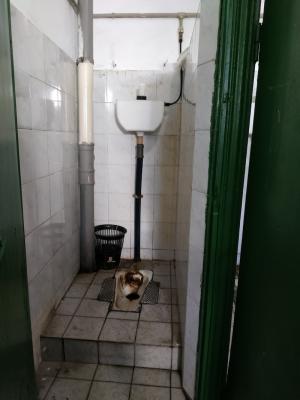 Прикрепленное изображение: t.JPG